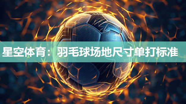 羽毛球场地尺寸单打标准